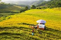 Những xu hướng kinh doanh 2020 mới nhất tại nông thôn