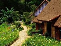 Đà Lạt có một ngôi làng tựa như trong truyện cổ tích