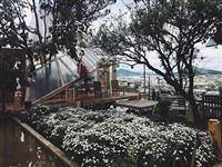 Dự báo thời tiết Đà Lạt cho hay đã đến lúc xách vali và đi