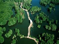 Hành trình đầy trải nghiệm và thách thức tại khu du lịch Vàm Sát Cần Giờ